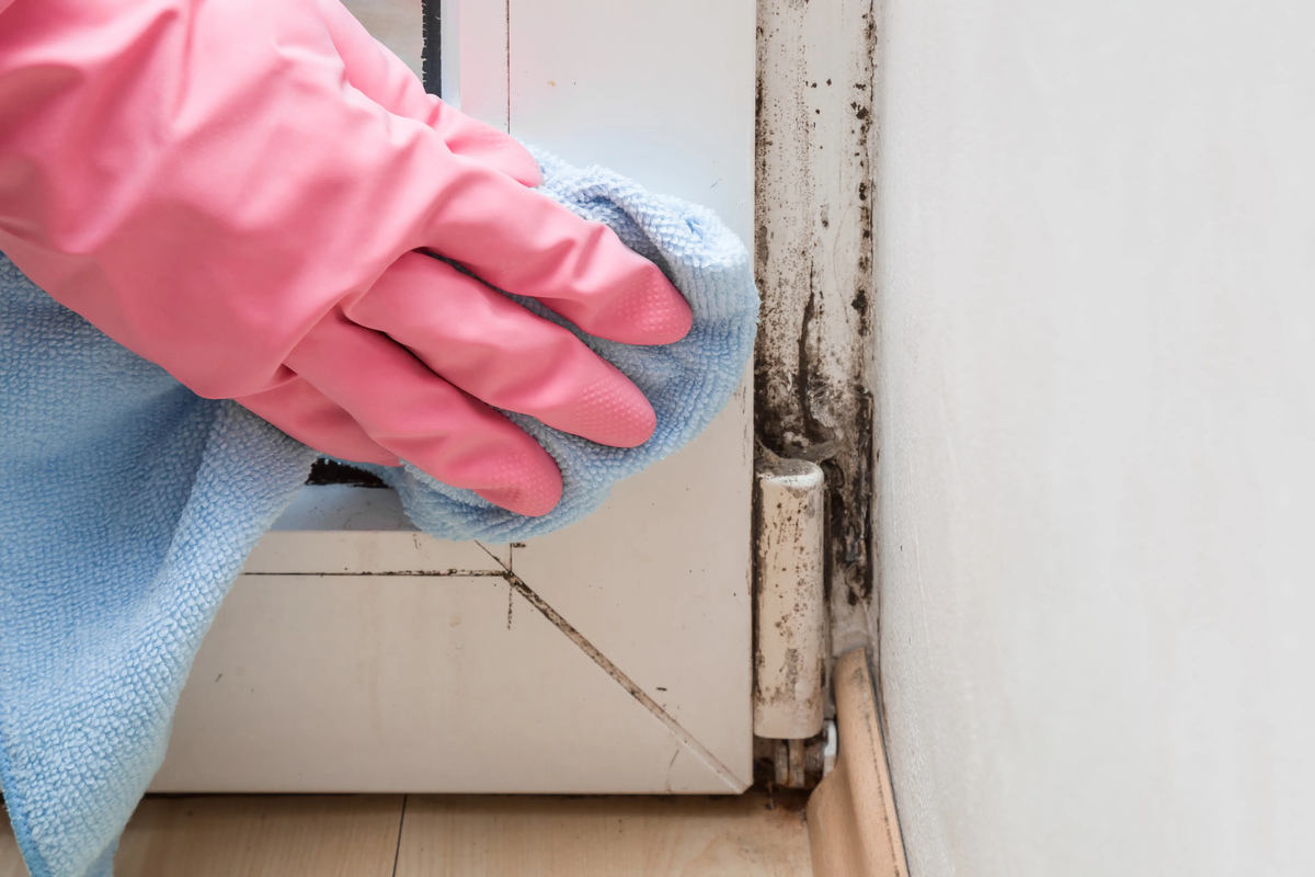 How To Get Rid Of Black Mold: 6 Expert Tips To Remove Mold At Home