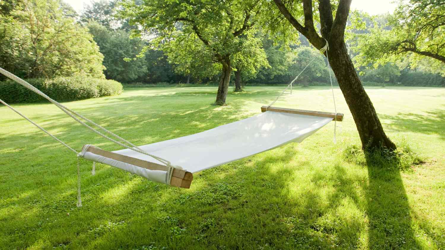How To Hang A Hammock, Just In Time For Sunny Summer Days