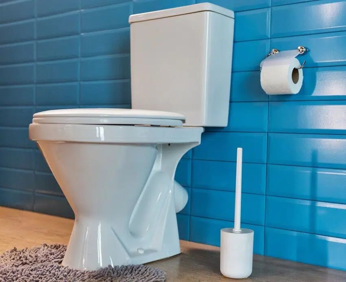 How To Install An Upflush Toilet In Your Basement