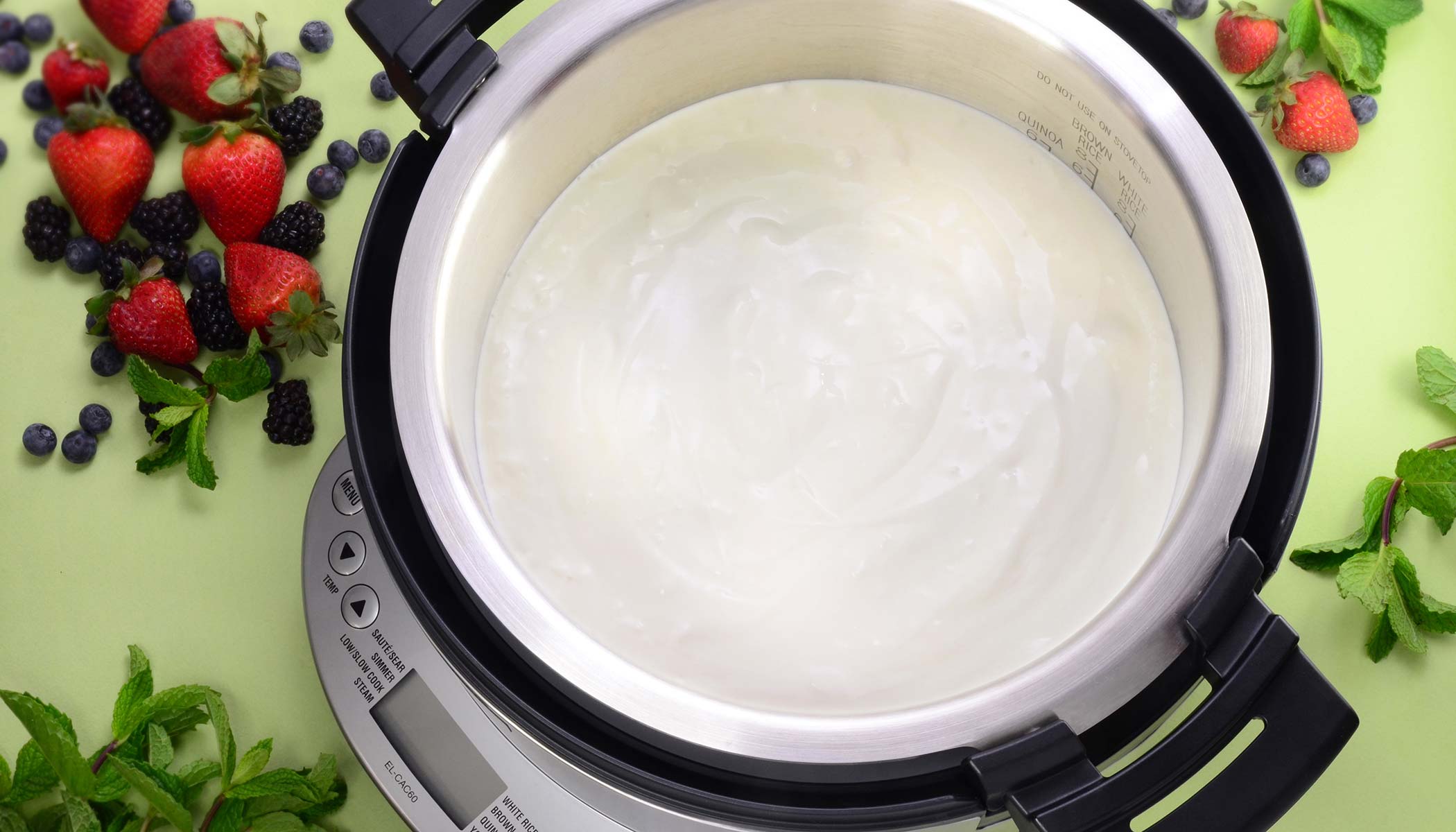 How To Make Yogurt In Rice Cooker