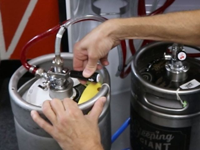 insignia keg