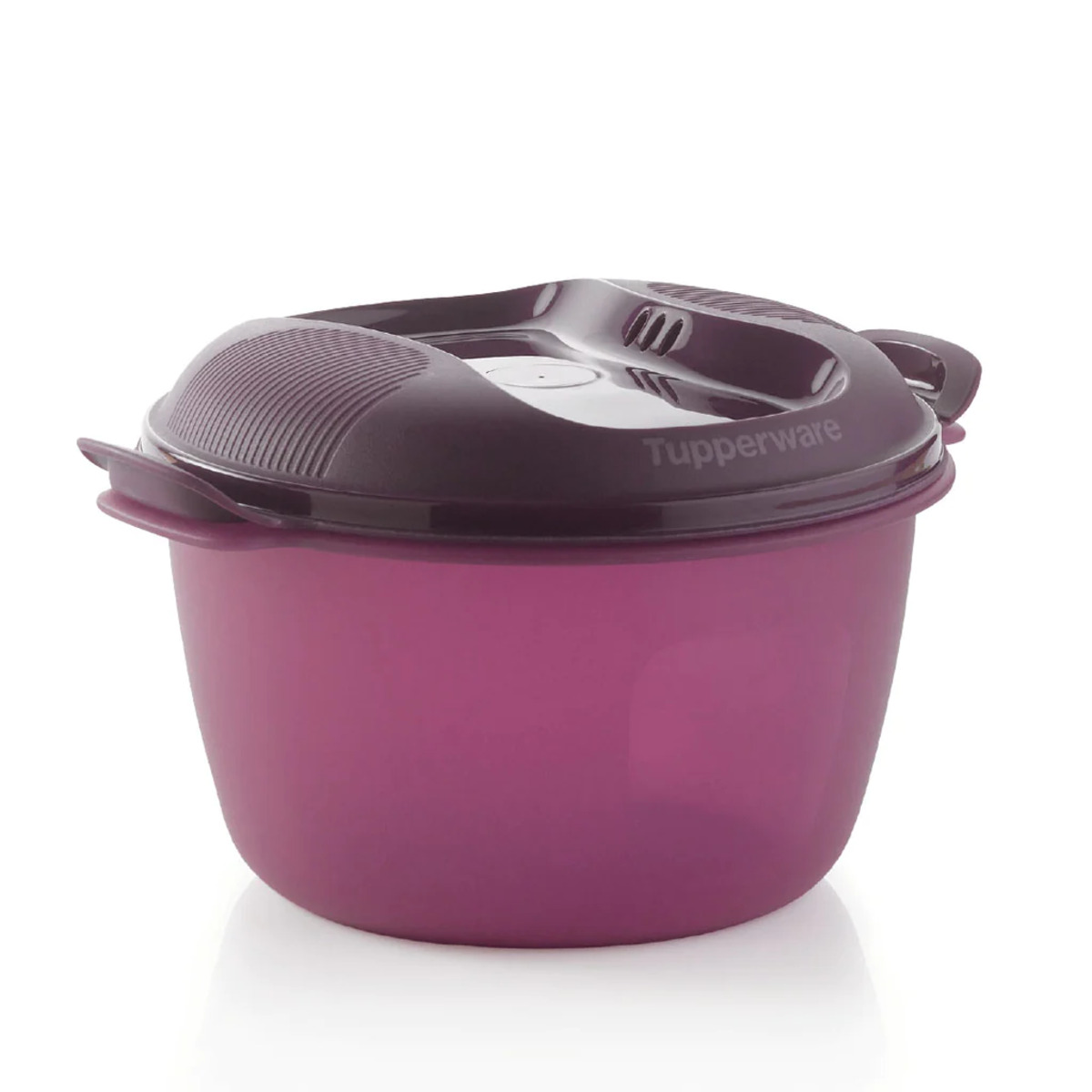 https://storables.com/wp-content/uploads/2023/08/how-to-use-tupperware-rice-cooker-1691365359.jpg