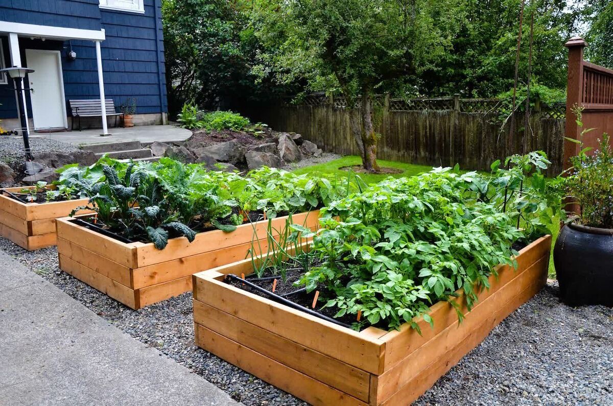 Small Vegetable Garden Ideas: 15 Ways To Maximize Your Space
