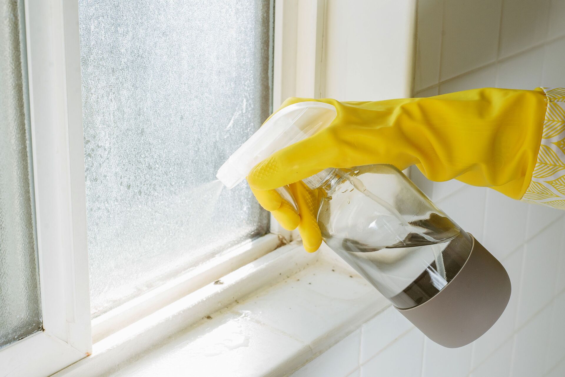Using Bleach To Kill Mold: What You Need To Know