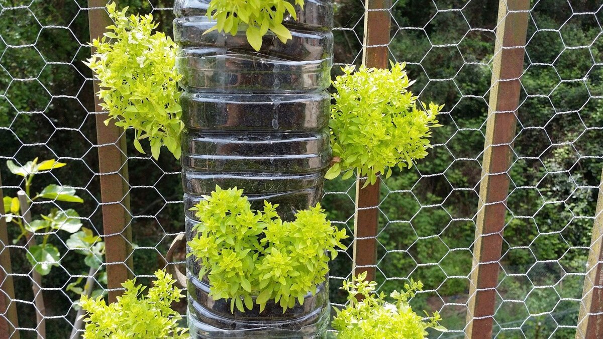 Vertical Garden Ideas: 10 Beautiful Designs And Ways To Plant Upwards