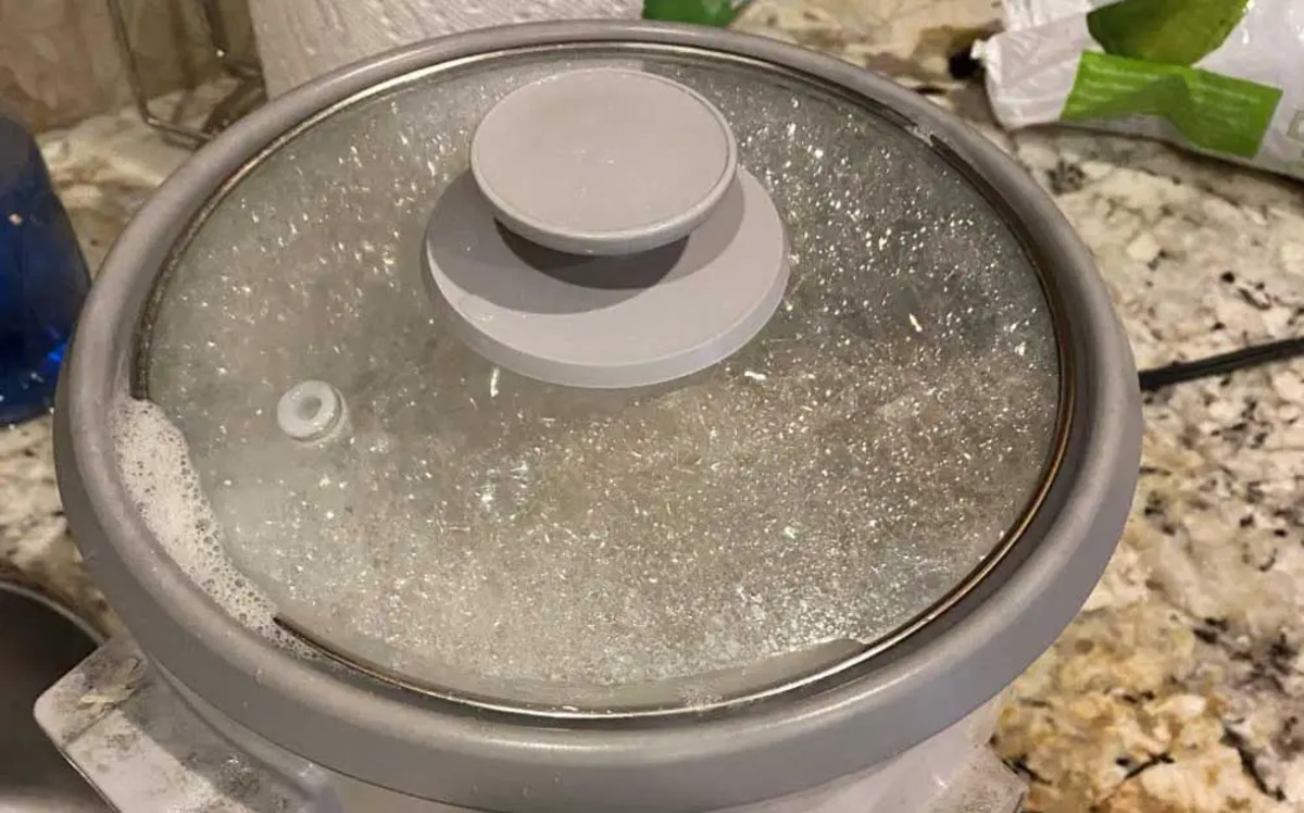 Why Is My Rice Cooker Bubbling