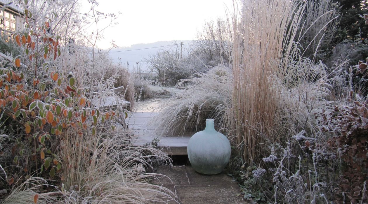 Winter Garden Ideas: 20 Ways To A Beautiful Winter Backyard