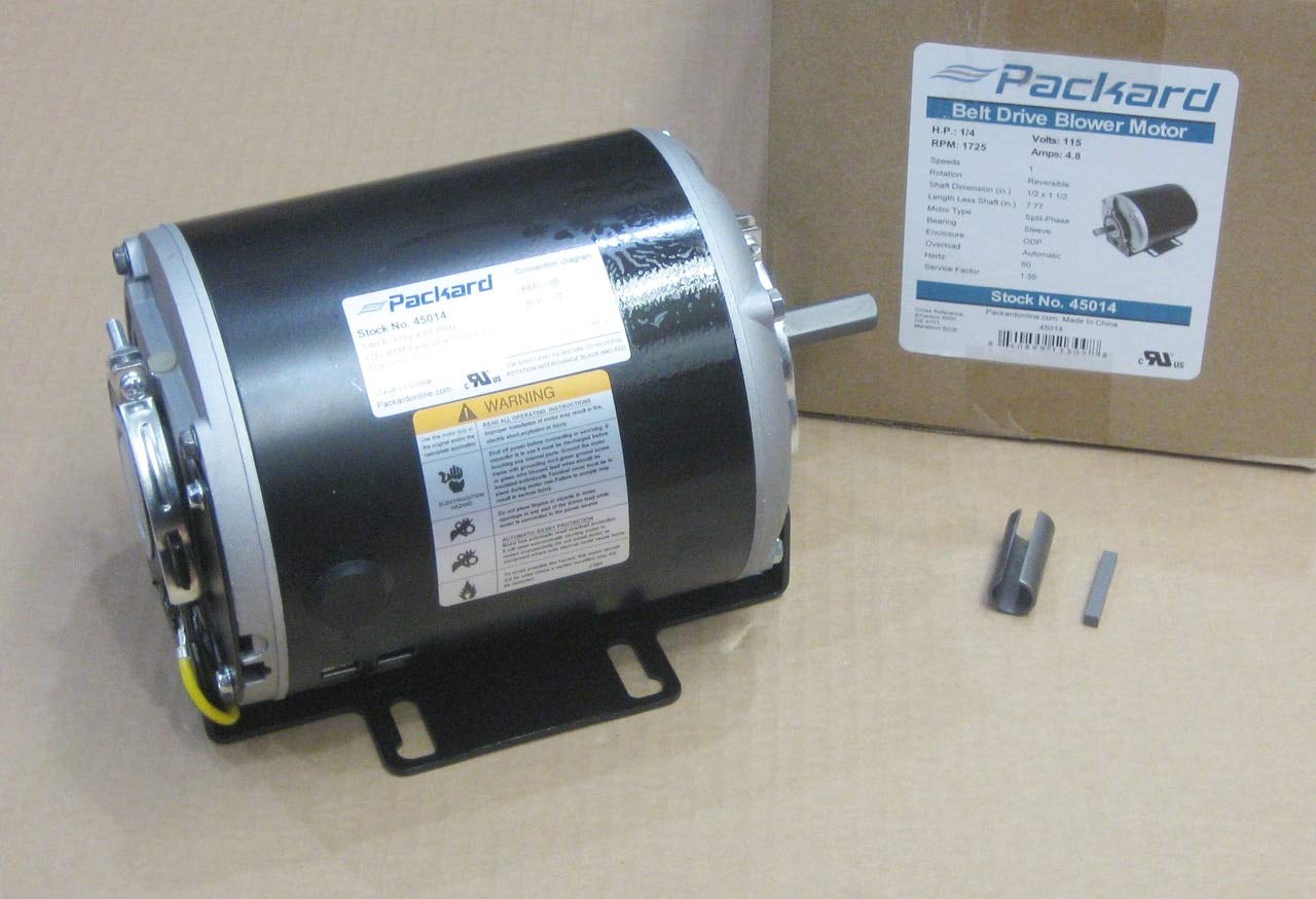 10 Amazing 1/4 Hp Electric Motor 1725 Rpm for 2024