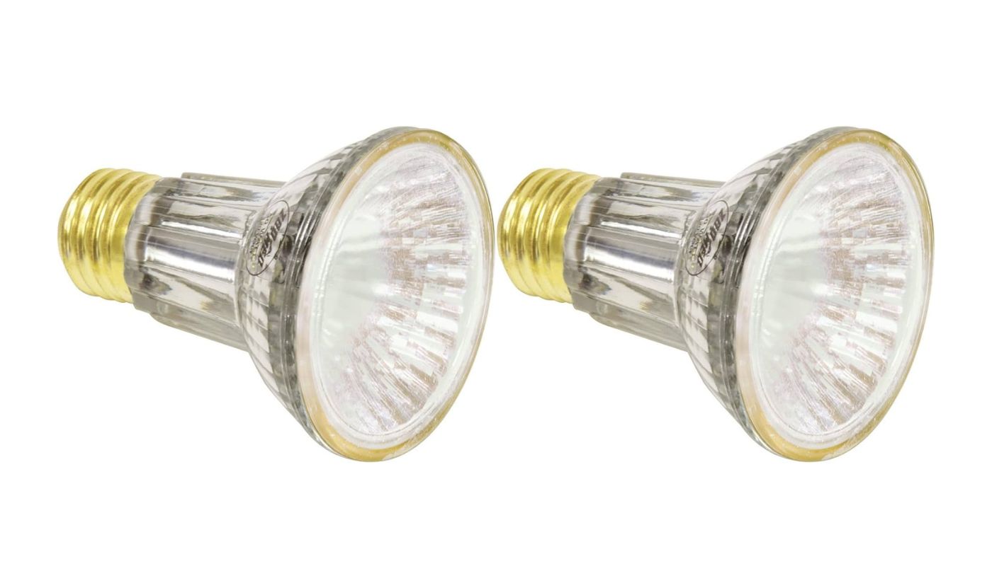 10 Amazing Zoo Med Halogen Bulb for 2024