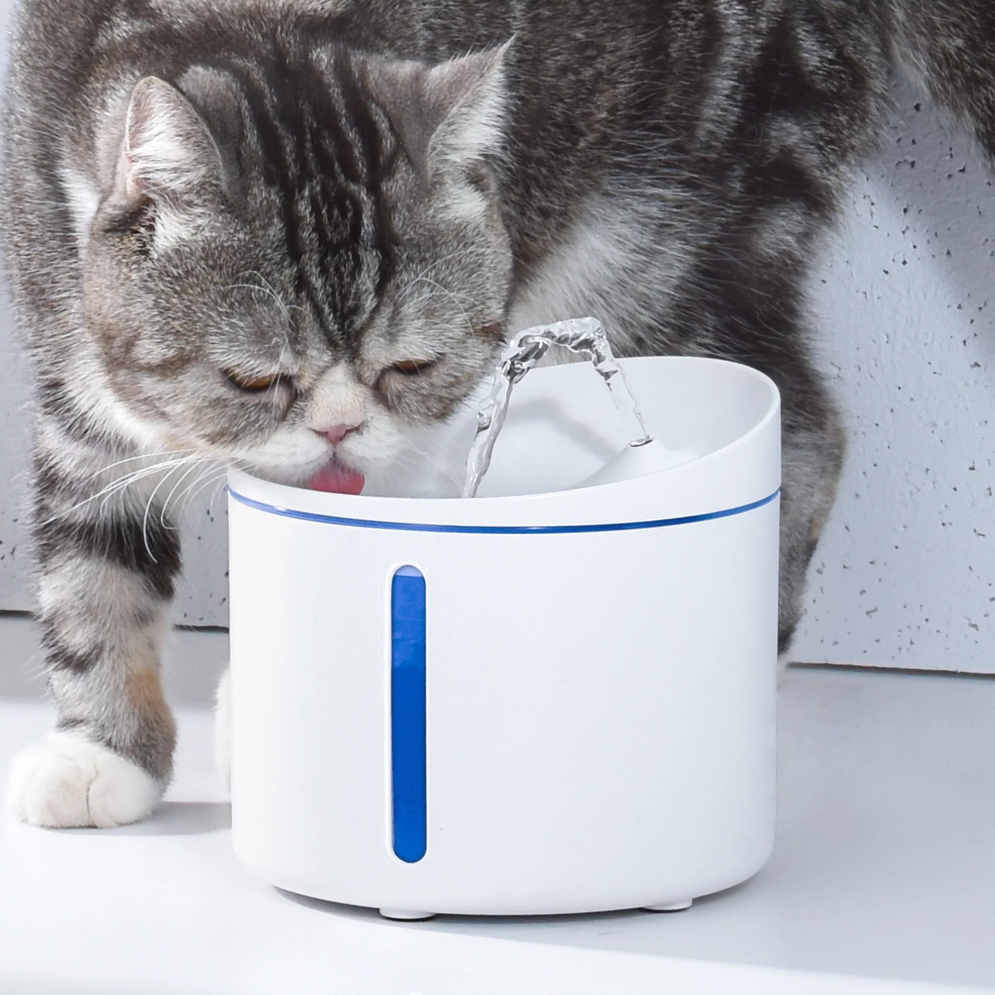 12 Amazing Cat Water Dispenser for 2024