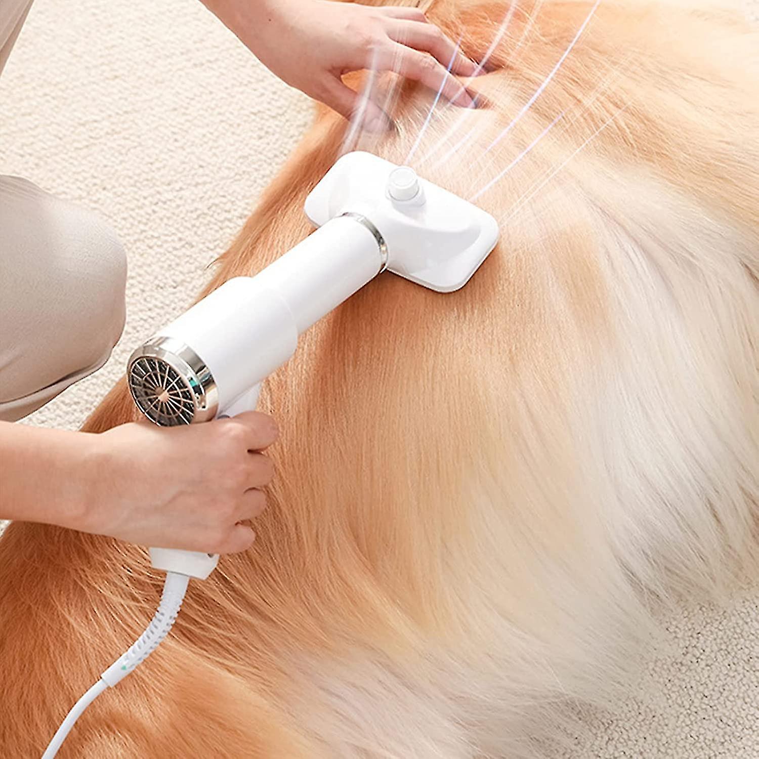 12 Amazing Pet Hair Dryer For 2024