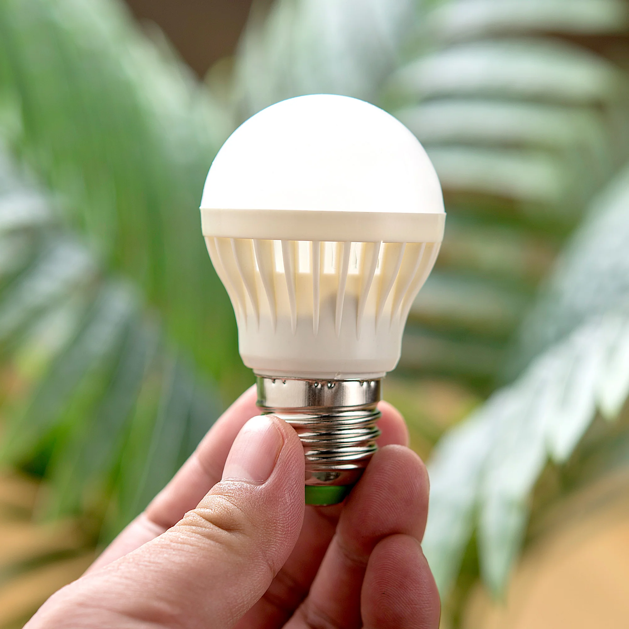 13 Best 6V LED Bulb for 2024