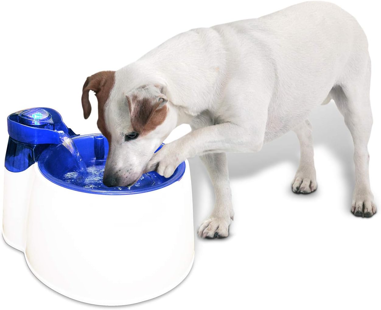 Basics Automatic Dog Cat Water Dispenser Gravity Feeder Set, Small,  6-Pound Food Capacity, 1-Gallon, Gray
