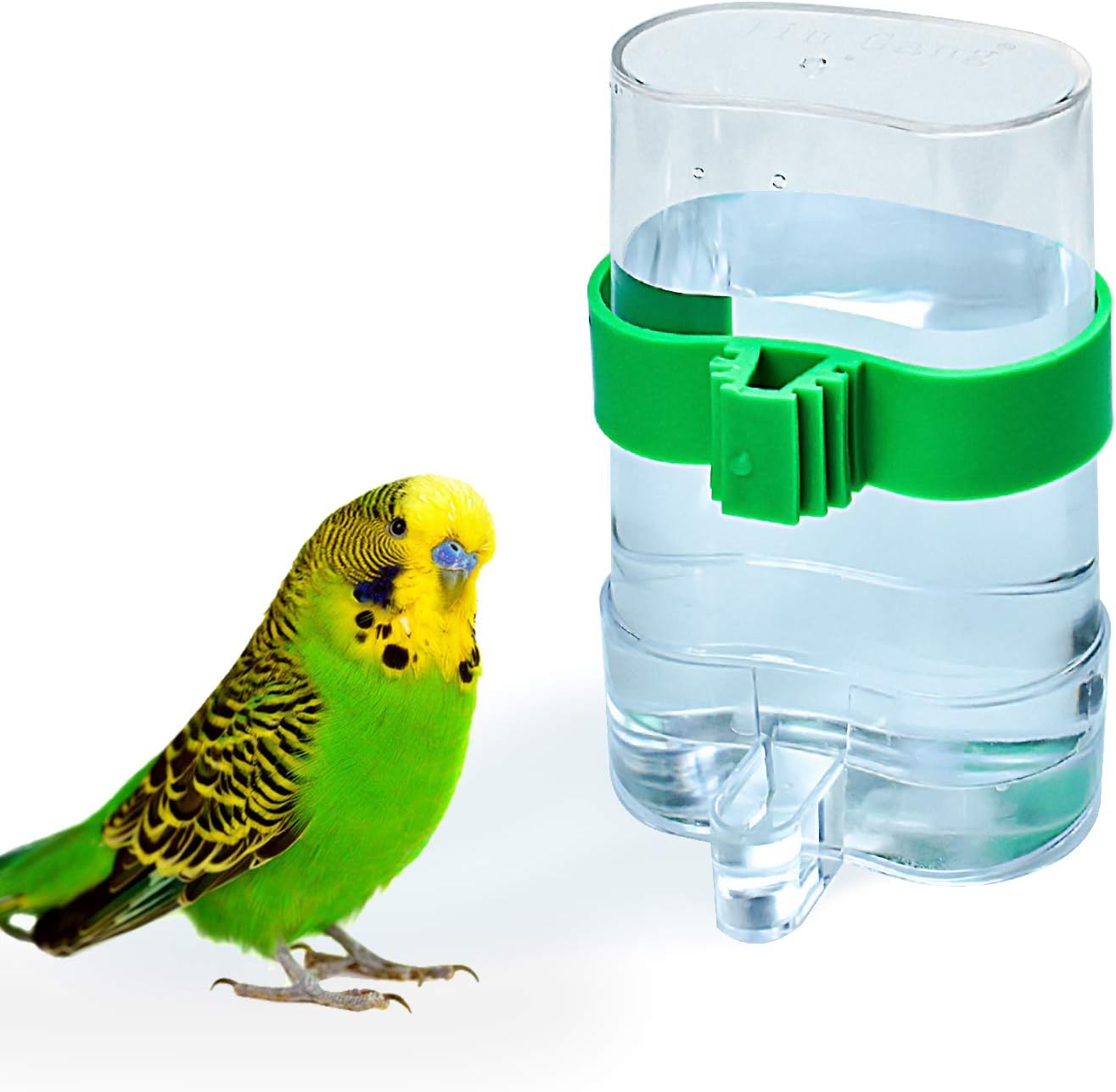 14 Best Bird Water Dispenser For Cage for 2023