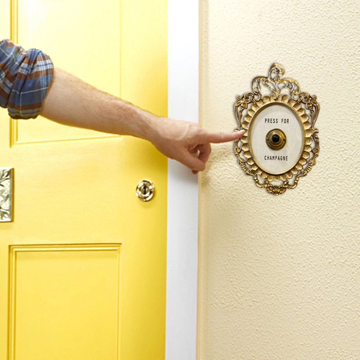 14 Best Decorative Doorbell for 2024