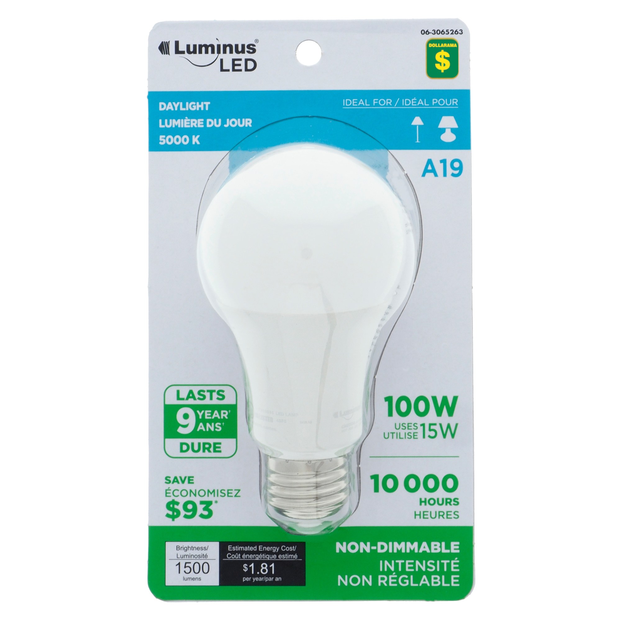15 Amazing A19 LED Bulb 100W for 2024