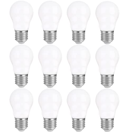 FLSNT A15 LED Edison Bulbs