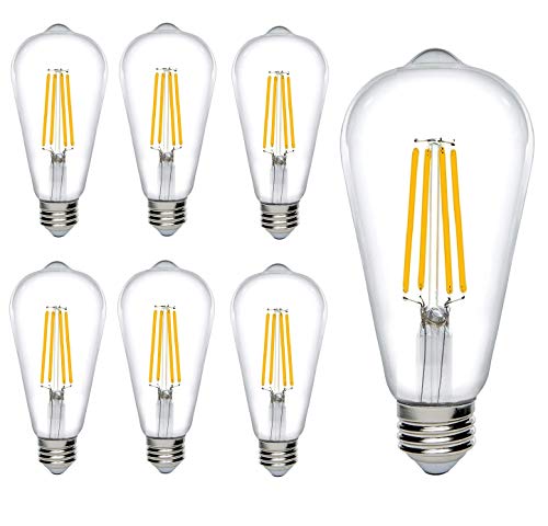 Bioluz LED Edison Light Bulbs