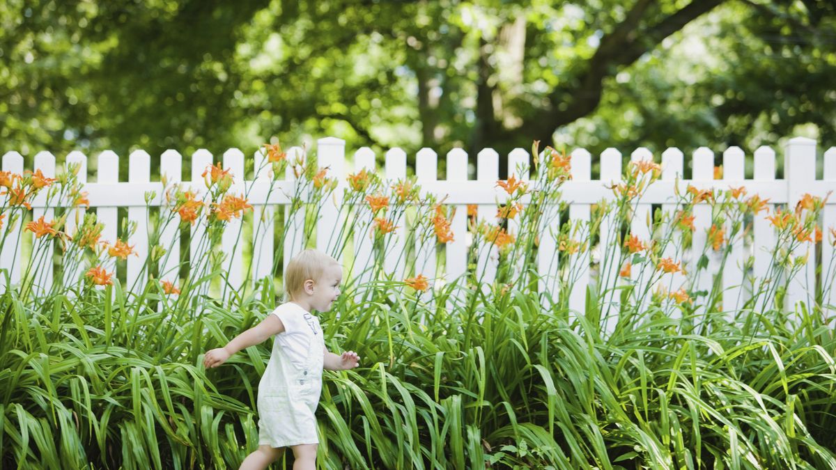 7 Gorgeous Picket Fence Ideas To Design The Garden Of Your Dreams