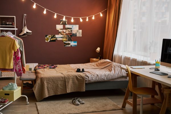 6 Trendy And Budget-Friendly Interior Design Styles For Students