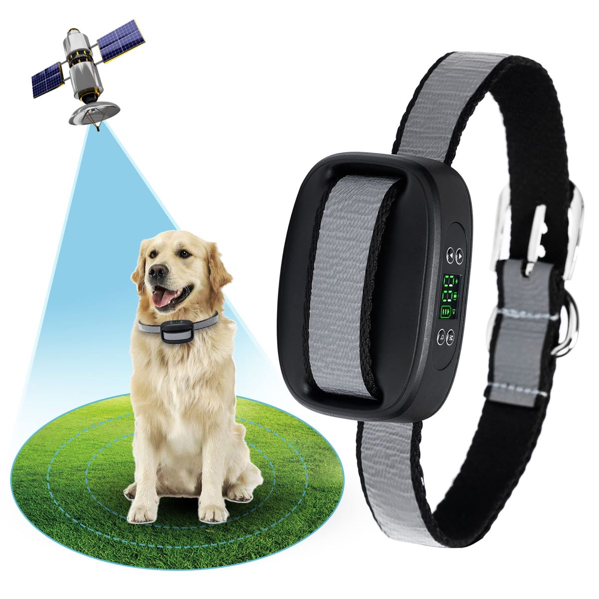 How Does Wireless Dog Fence Work