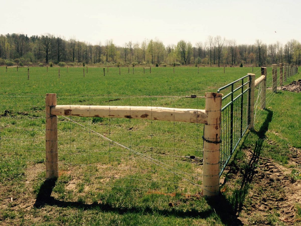 How Far Apart Should Fence Post Be For Woven Wire