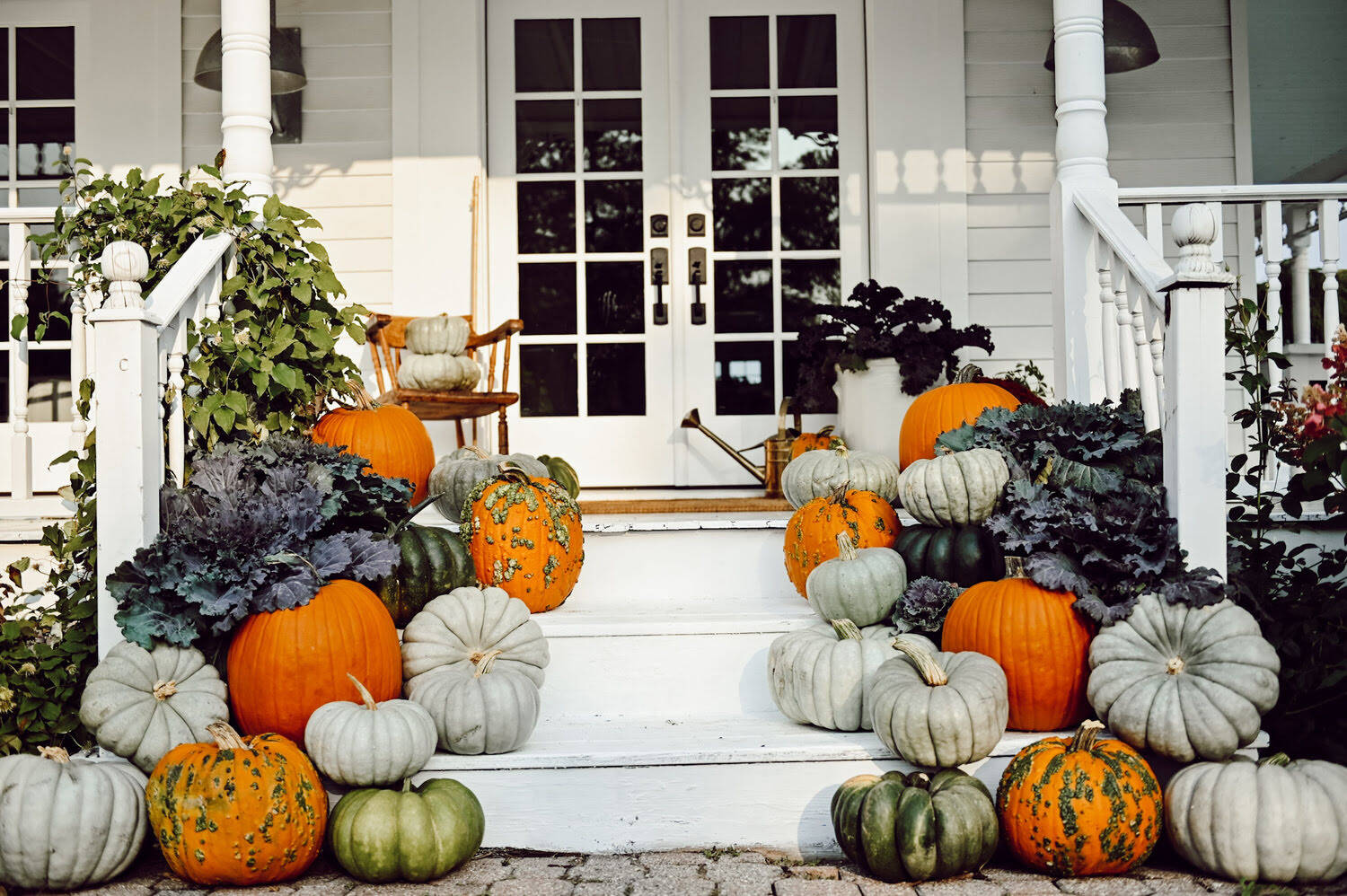 How Long Do Pumpkins Last On The Porch