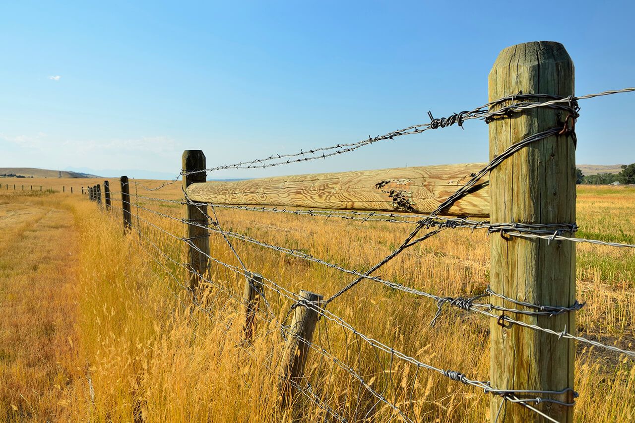 How Much Does A Barbed Wire Fence Cost