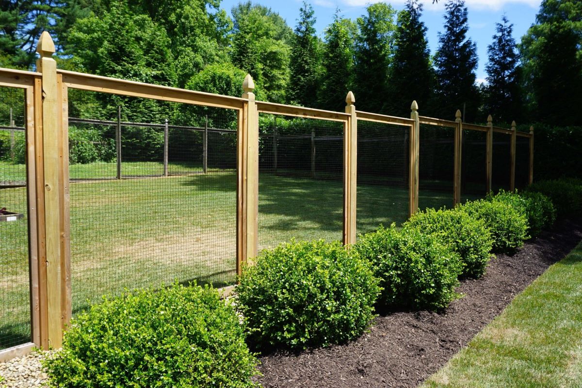 How Tall Should A Deer Fence Be