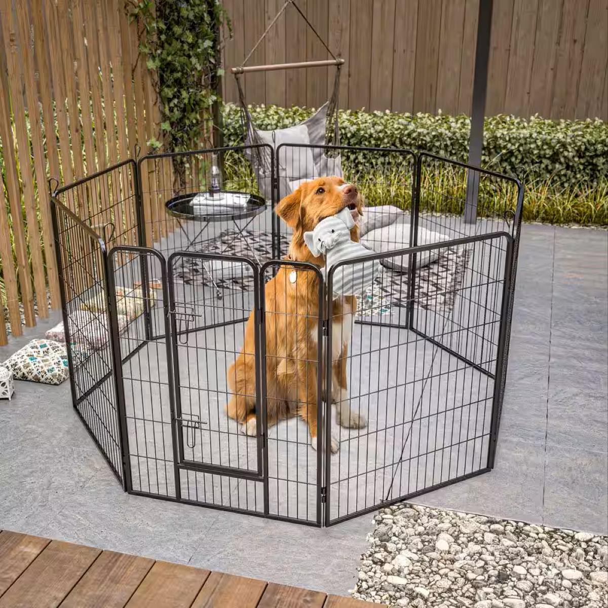 How To Build A Cheap Dog Fence