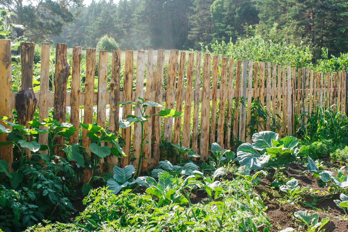 How To Build A Fence For A Vegetable Garden