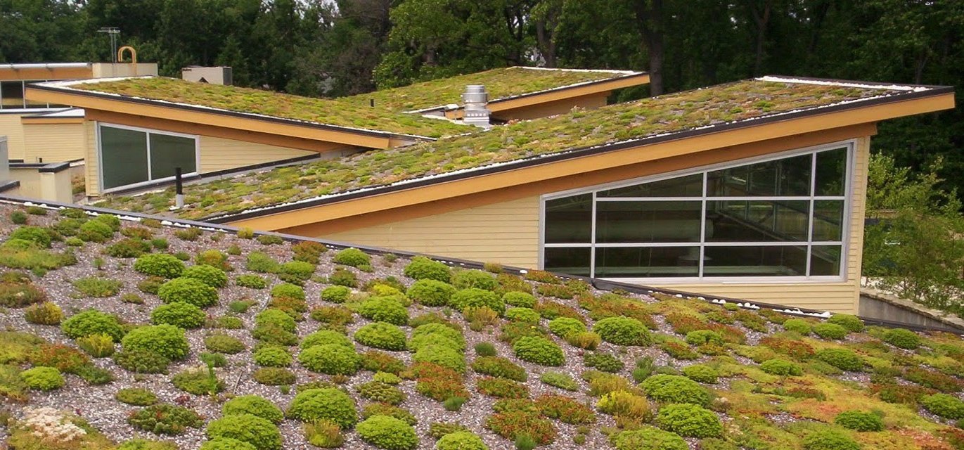 How To Build A Green Roof