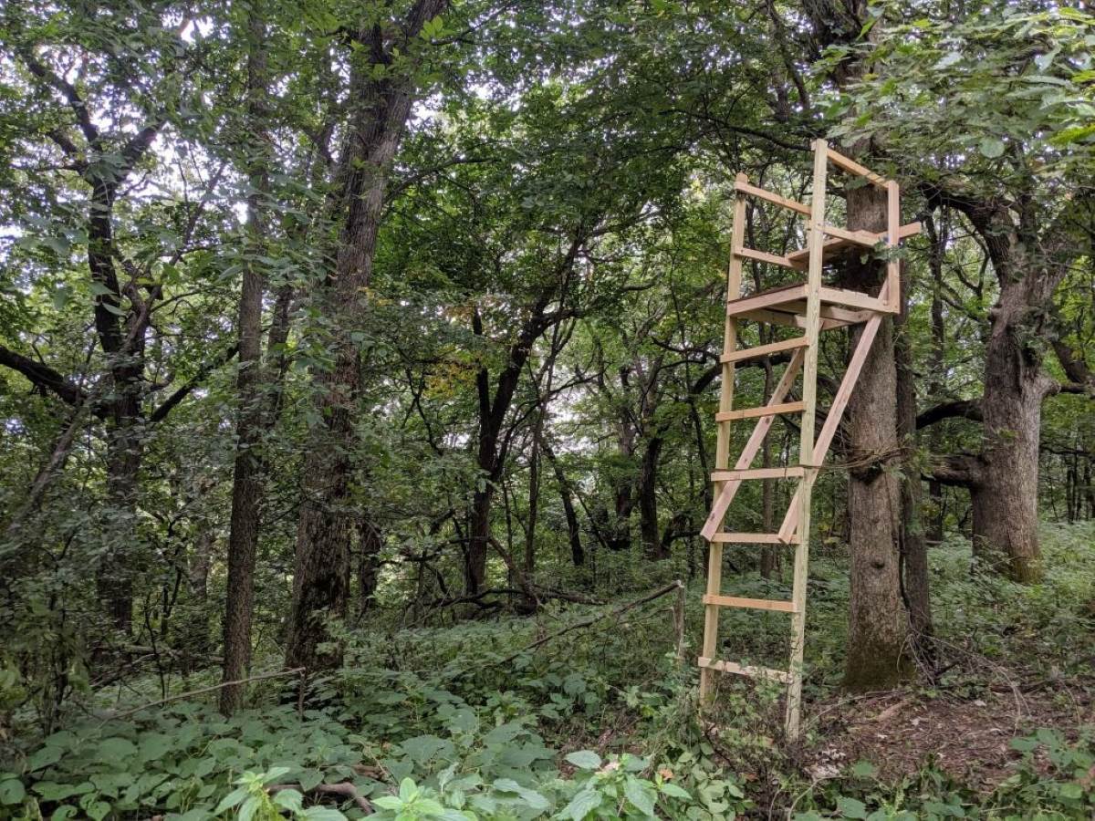 How To Build A Ladder Stand For Deer Hunting