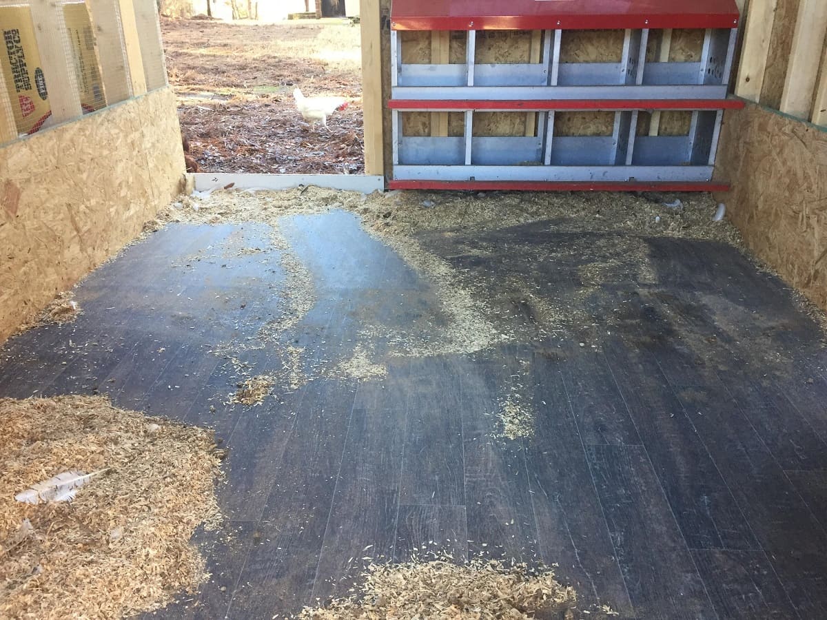 How To Clean A Chicken Coop With A Dirt Floor