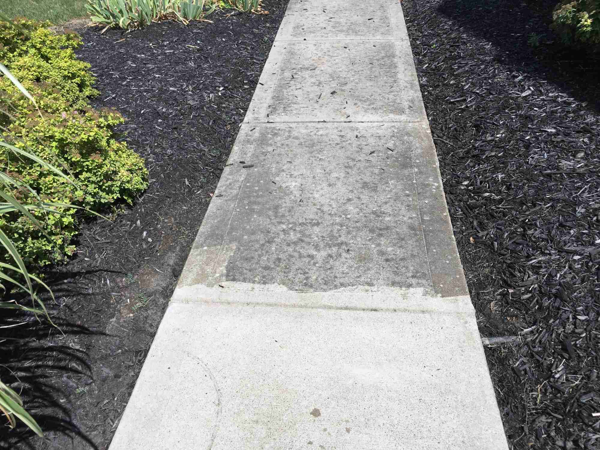 How To Clean Cement Walkway