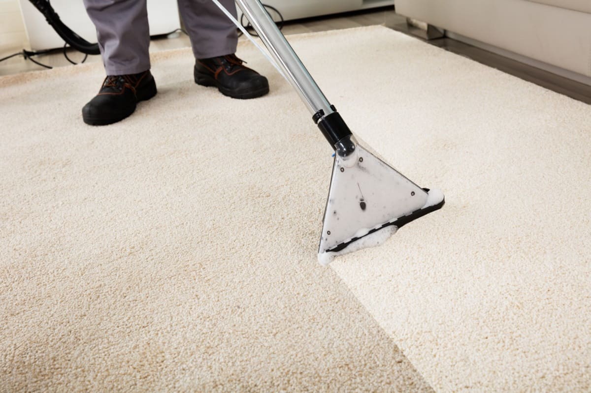 How To Clean Floor Carpet