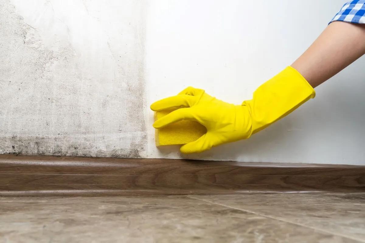 How To Clean Interior Walls