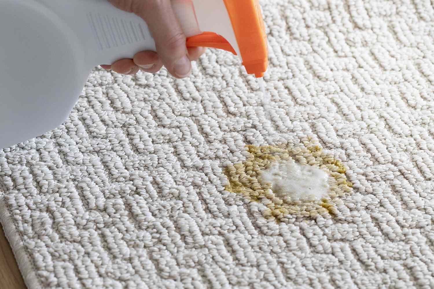 How To Clean Vomit From Floor