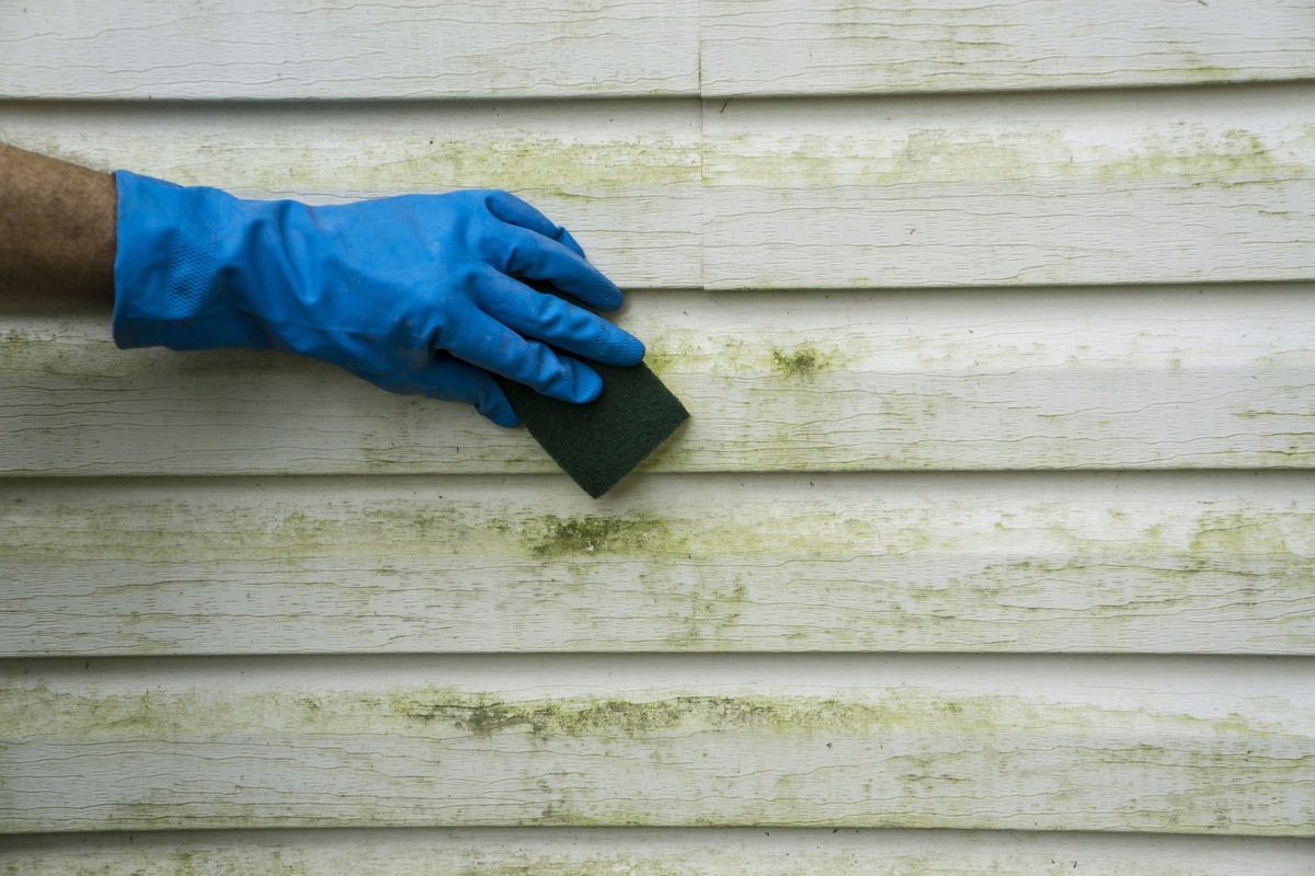How To Clean Wood Siding