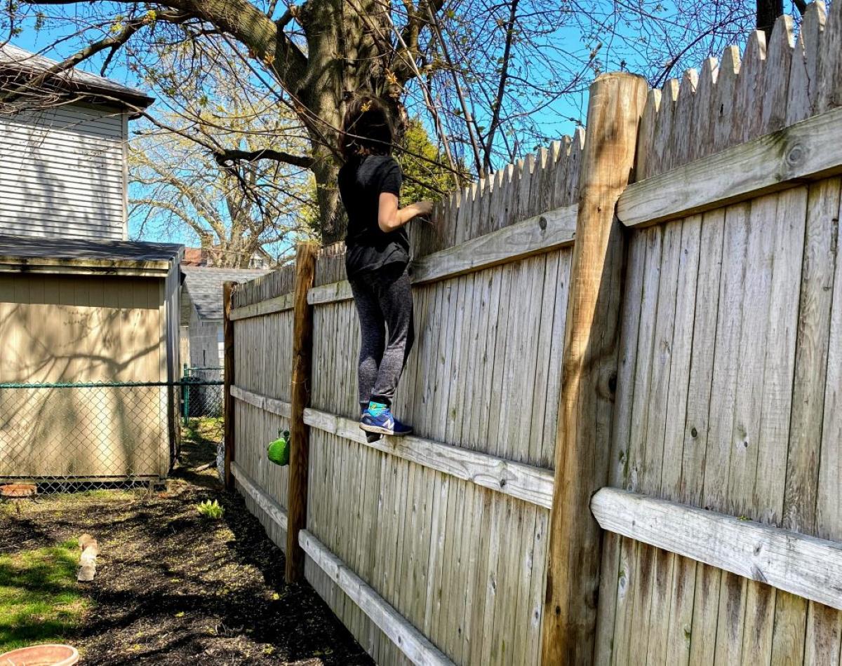How To Climb Fence