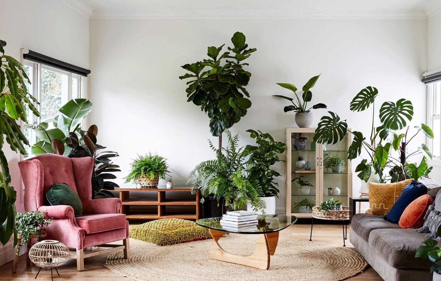 How To Decorate The Living Room With Plants
