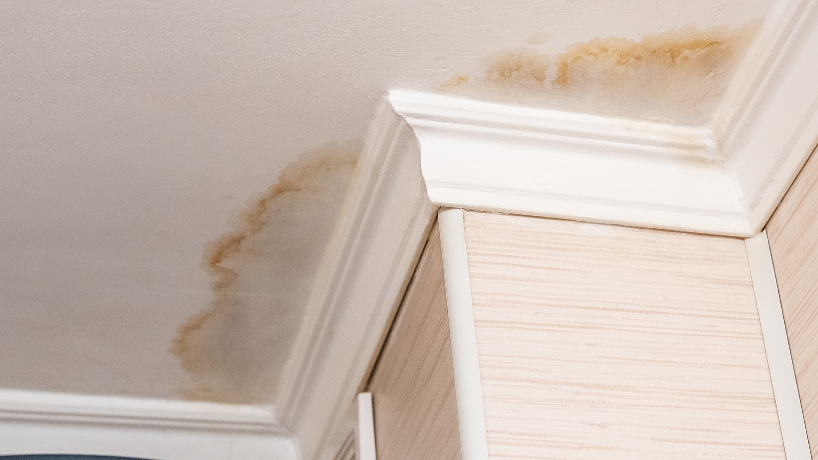 How To Fix A Ceiling With Water Damage So It Stays High And Dry