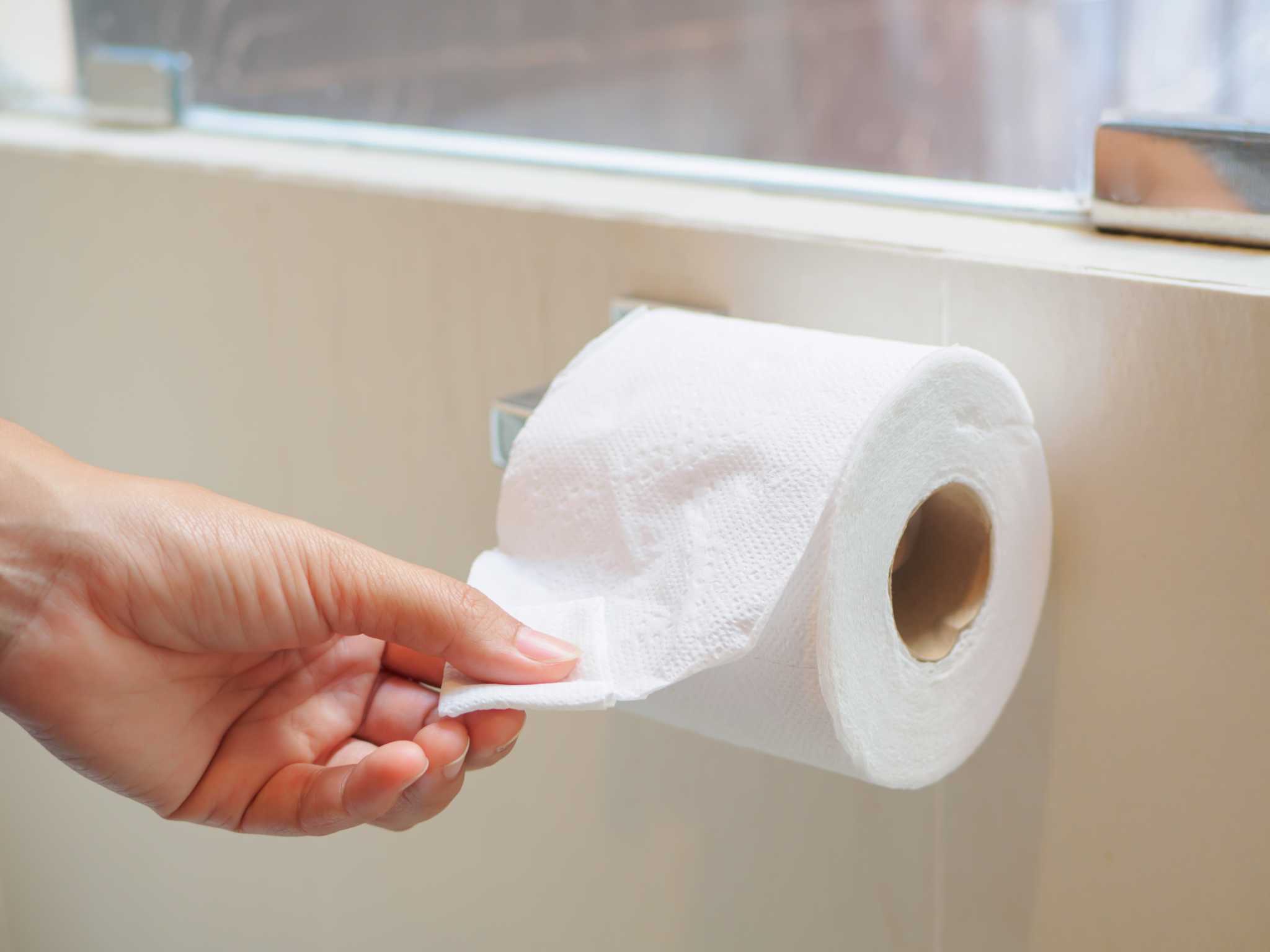 How To Fix My Toilet Paper Holder Storables