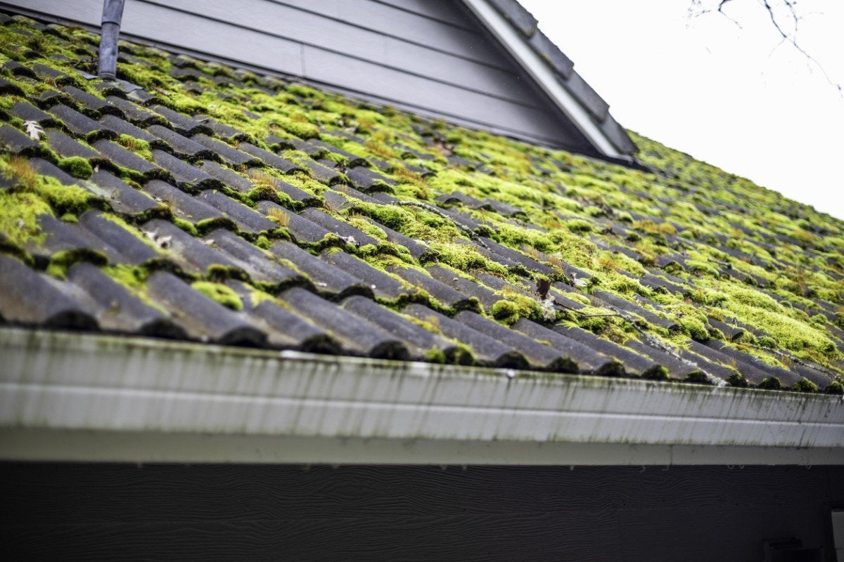 How To Get Moss Off Roof