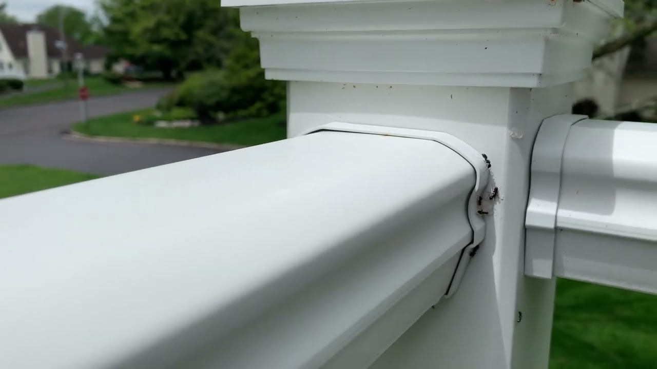 How To Get Rid Of Ants On Porch