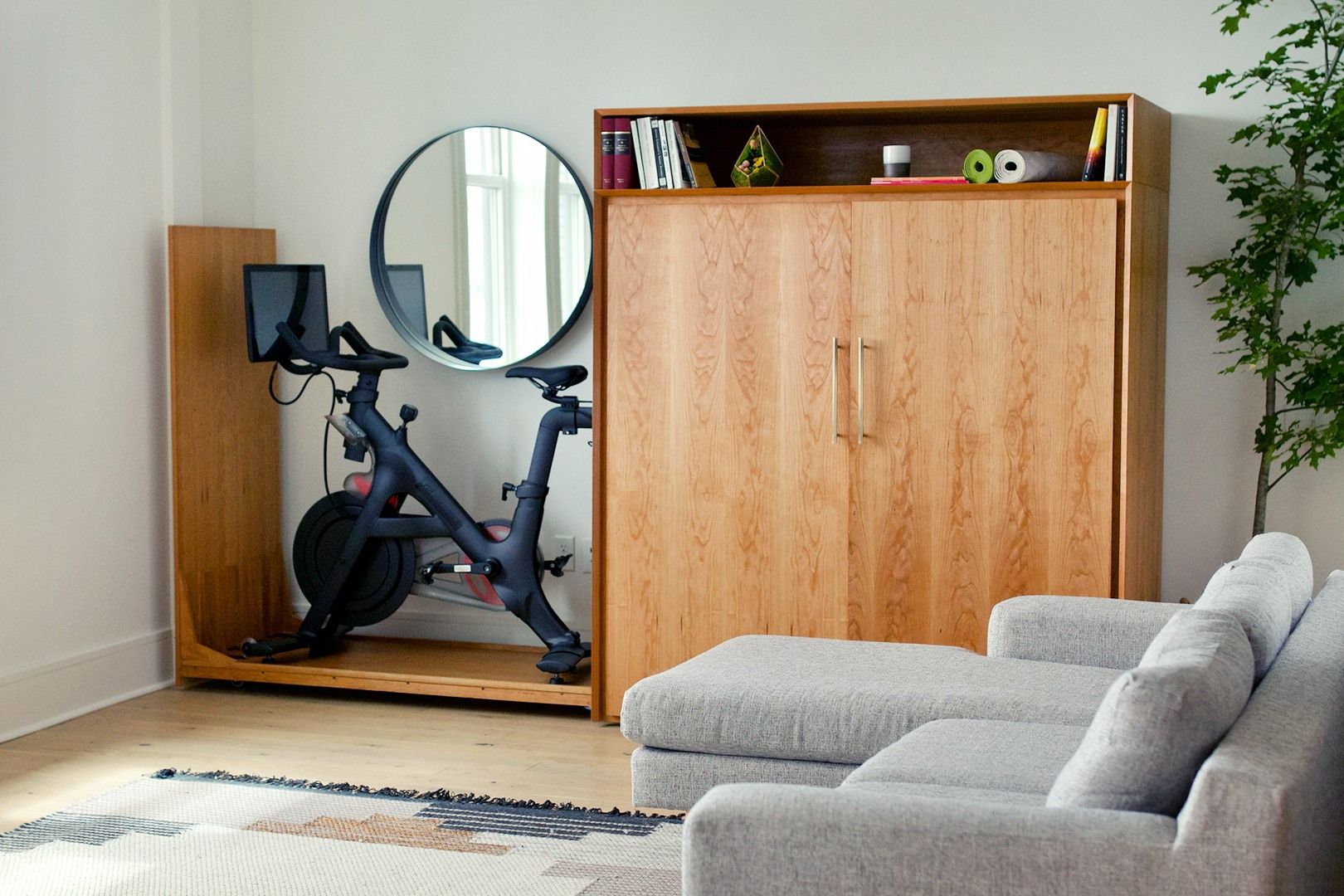 How To Hide Exercise Bike In Living Room