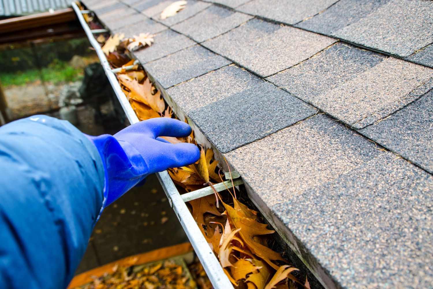 How To Know If Gutters Need Cleaning