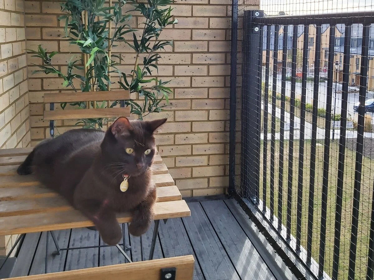How To Make Balcony Cat Safe