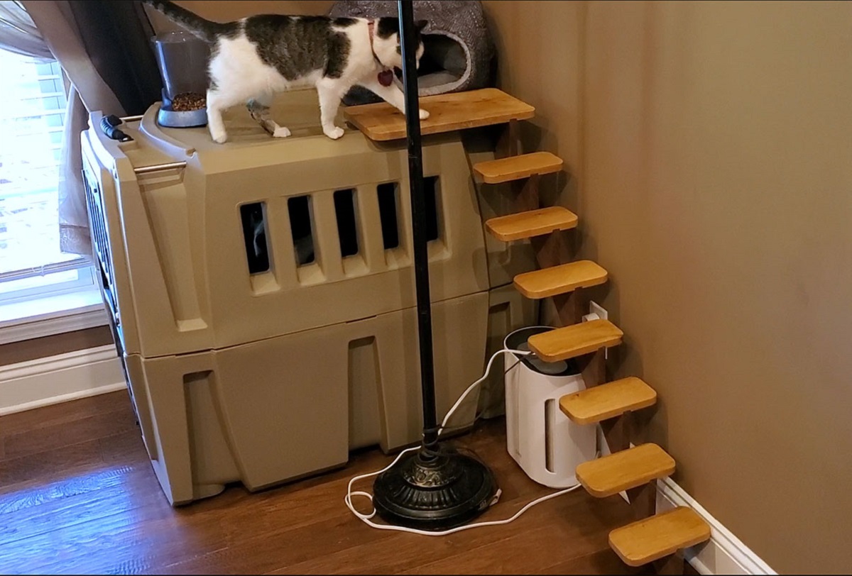 How To Make Cat Stairs
