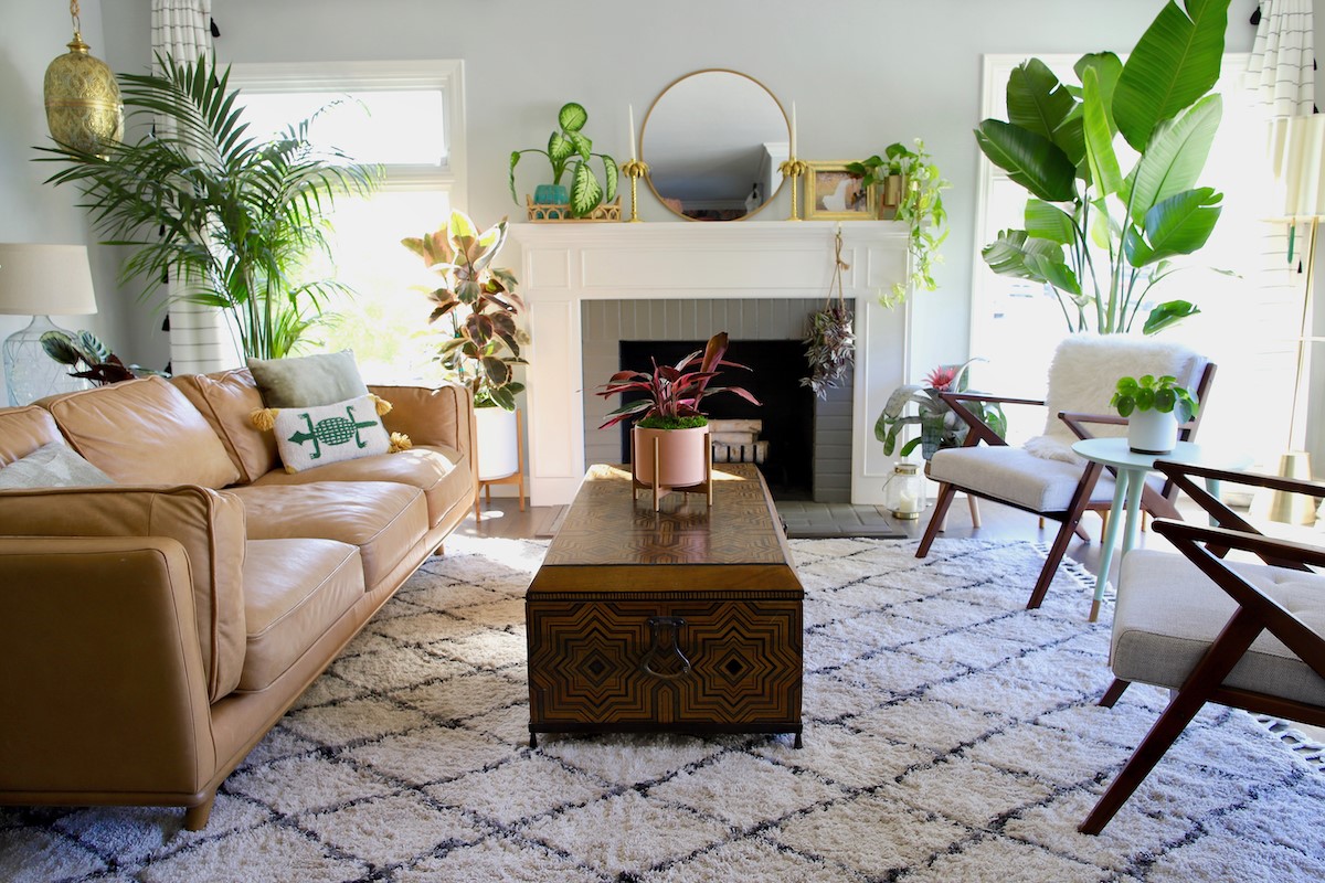 How To Place Plants In Living Room